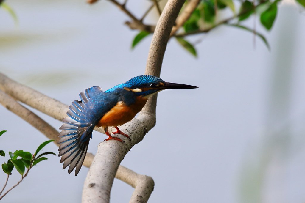 🏞️ 사계절의 숲 공원(시키노모리 코엔) 이미지 7